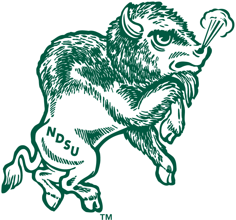 North Dakota State Bison 1972-1999 Primary Logo DIY iron on transfer (heat transfer)